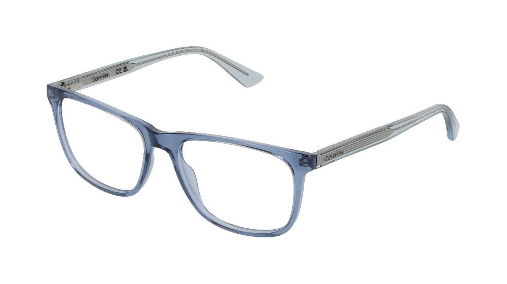 Calvin Klein CK23548N Bleu