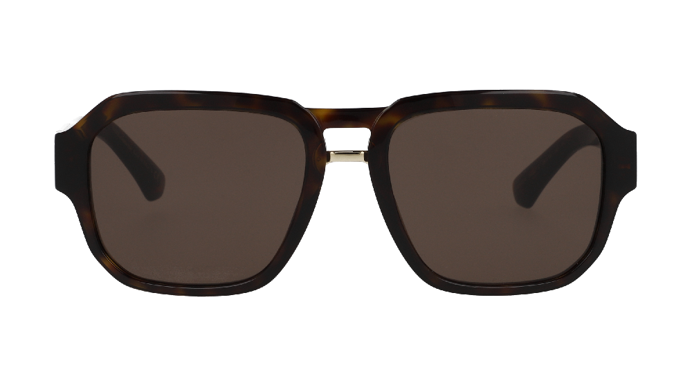Dolce & Gabbana DG4464 Ecaille