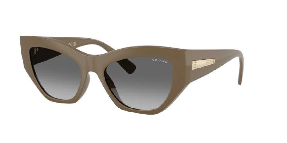 Vogue Eyewear VO5607S Brun