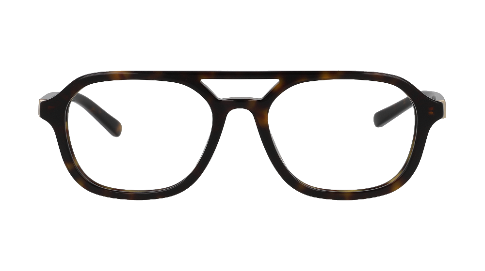 Gucci GG1673O Ecaille
