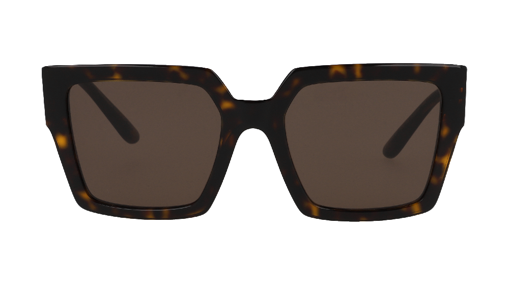 Dolce & Gabbana DG4446B Ecaille