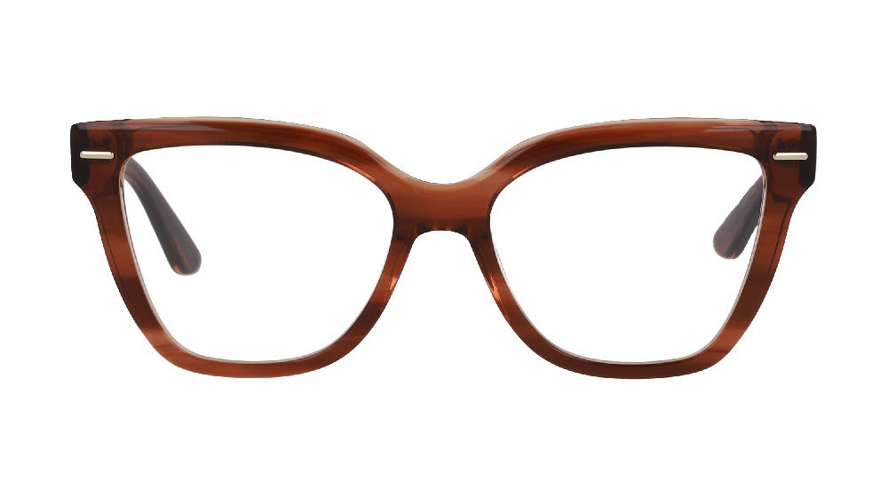 Calvin Klein CK23543 Marron