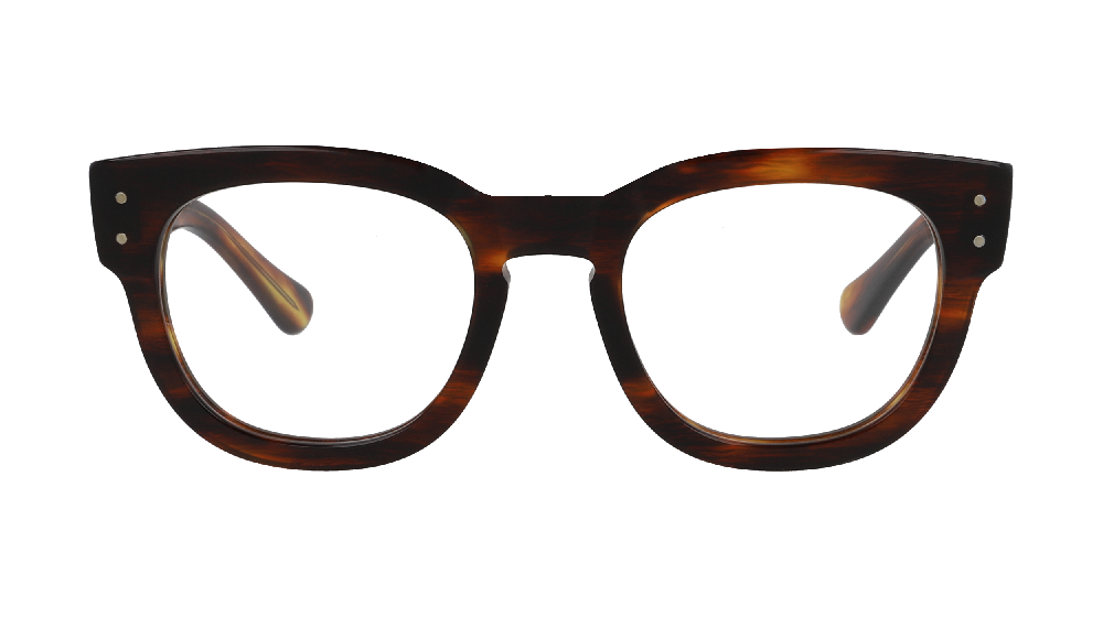 Ray-Ban RX0298V Ecaille