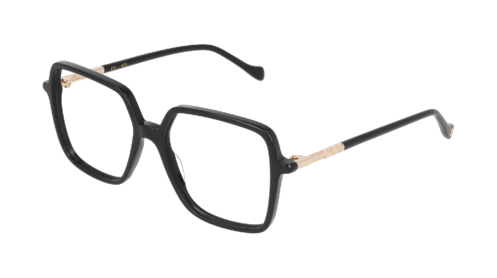 Dolce & Gabbana DG1340 Noir