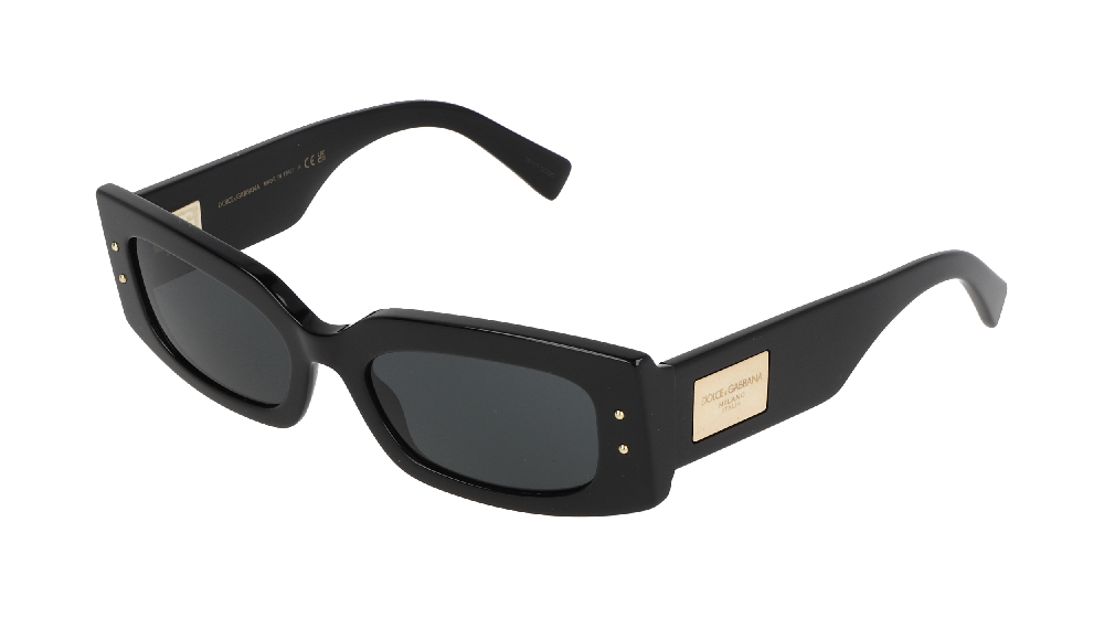 Dolce & Gabbana DG4479 Noir