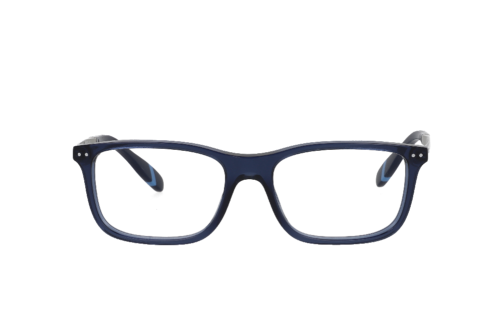 Polo Ralph Lauren PH2273 Bleu