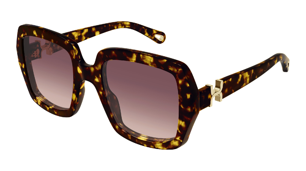 Chloé CH0301S Ecaille