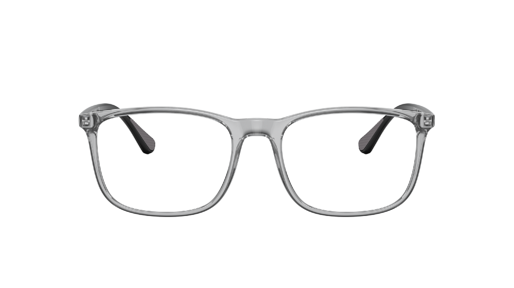 Emporio Armani EA3177 Gris