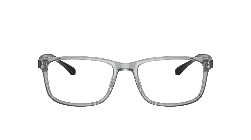 Emporio Armani EA3098 Gris