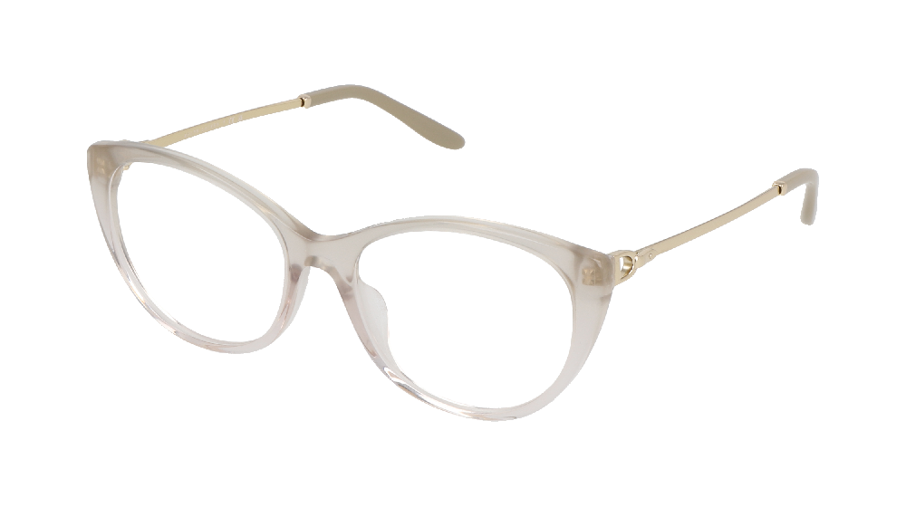 Ralph Lauren RL6239U Gris