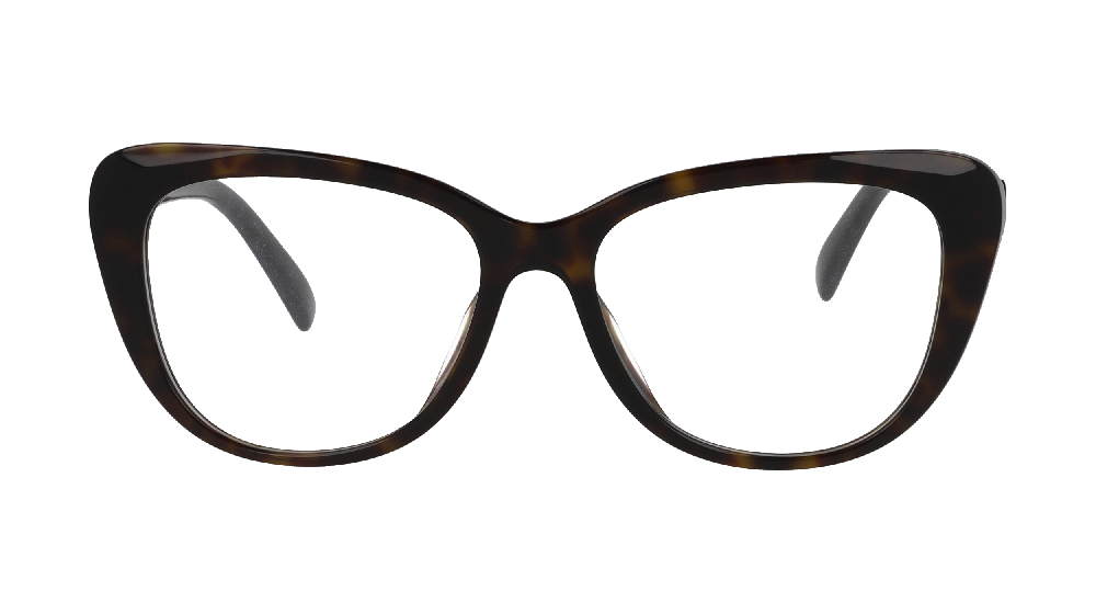 Ralph Lauren RL6232U Ecaille