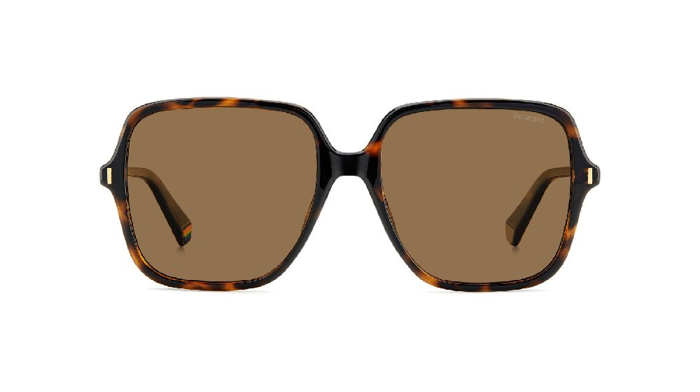 Charlie Chill S2508 Ecaille