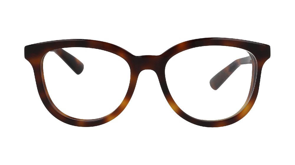 Gucci GG1687O Ecaille