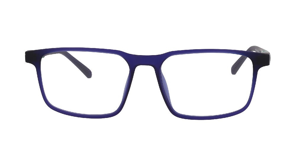Champion CH2431 Bleu