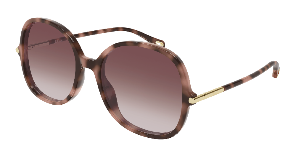 Chloé CH0383S Ecaille