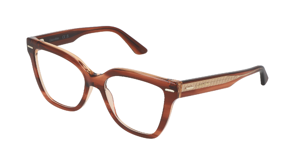 Calvin Klein CK23543 Marron