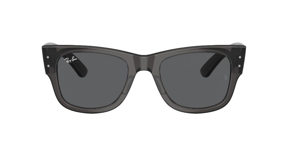 Ray-Ban RB0840S Noir