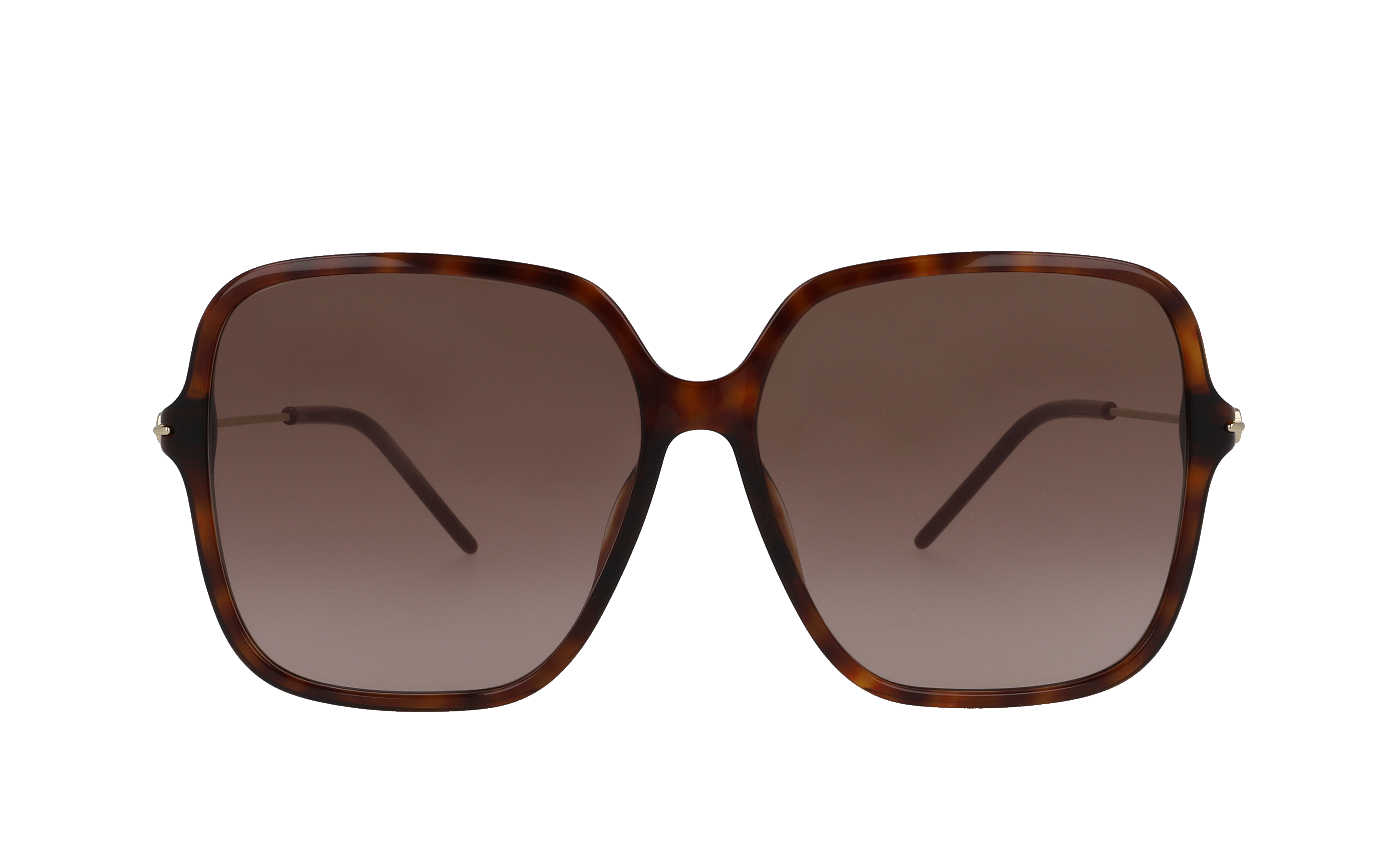 GUCCI GG12.67S Écaille