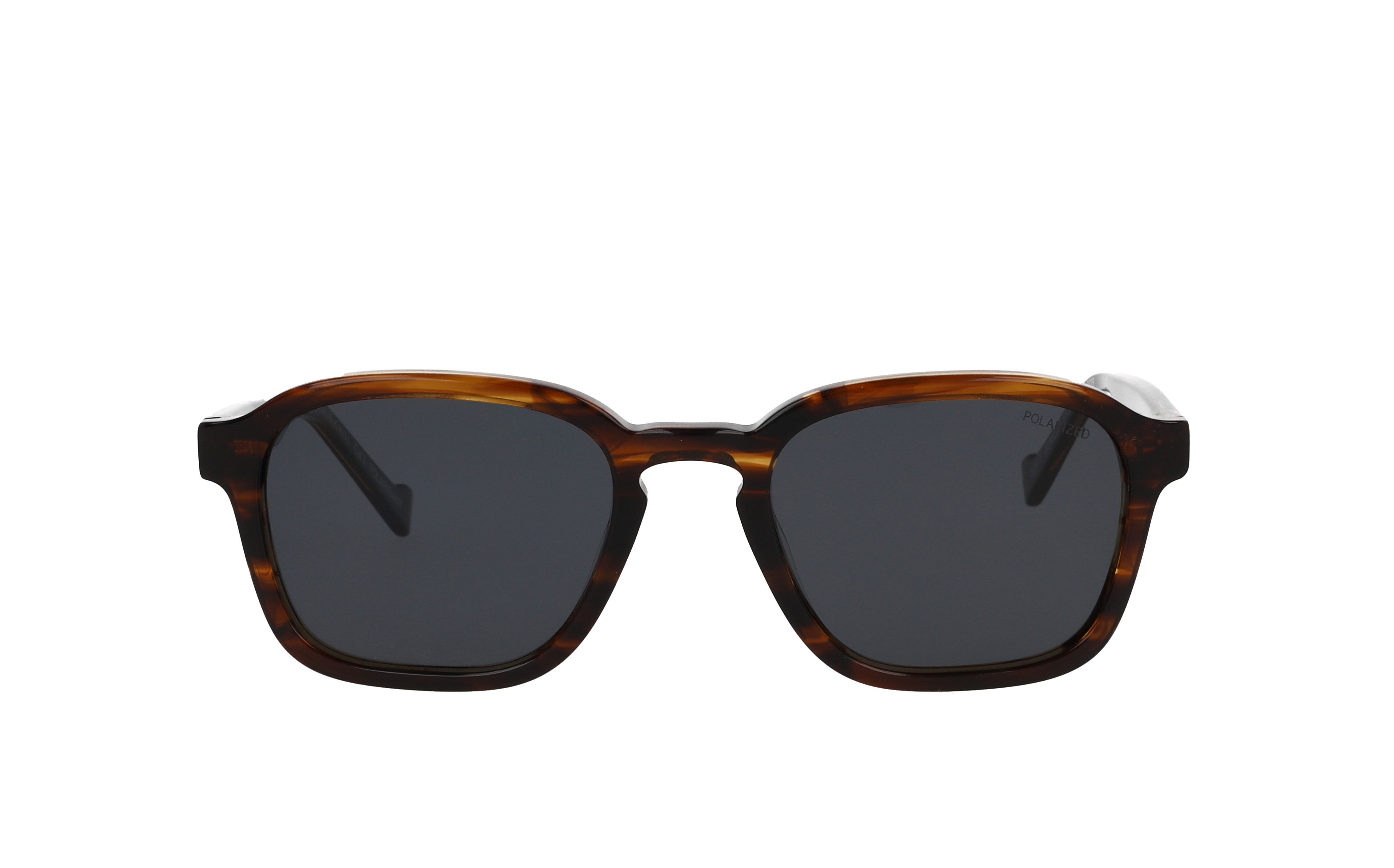 CHARLIE CHILL S2513 Écaille