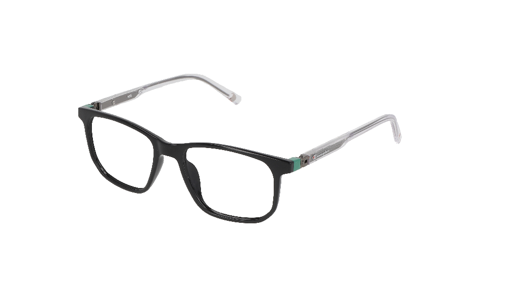 Champion CH2503 Noir