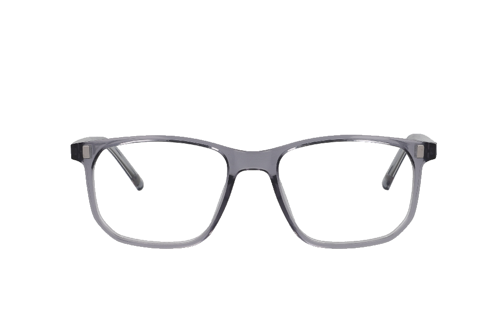 Champion CH2503 Gris