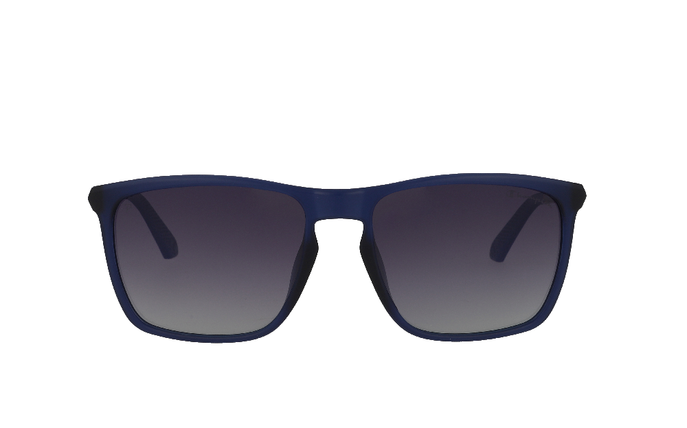 Champion CH2523 Bleu