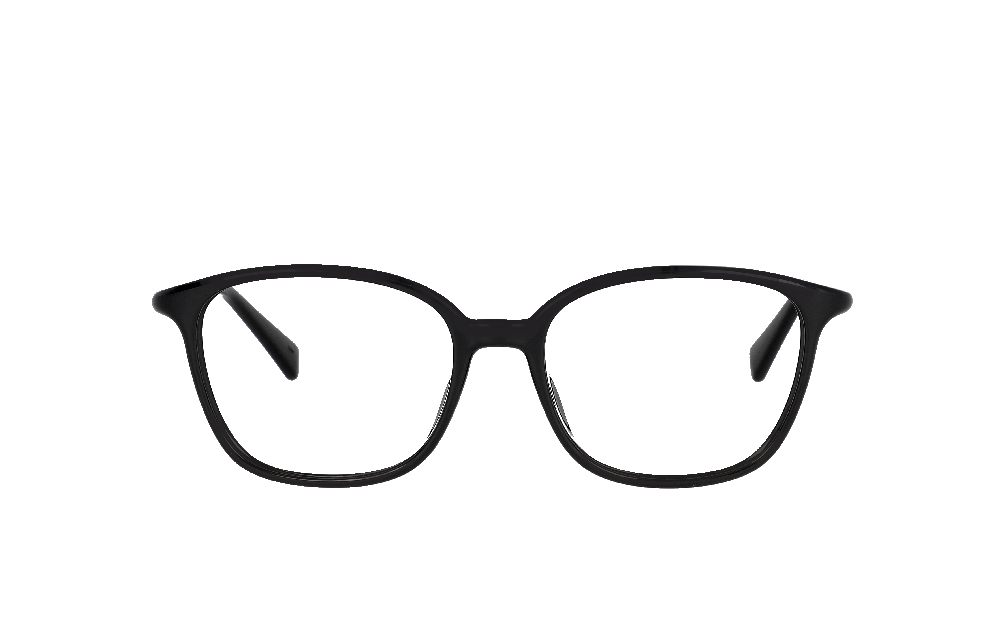 LONGCHAMP LO2729 Noir