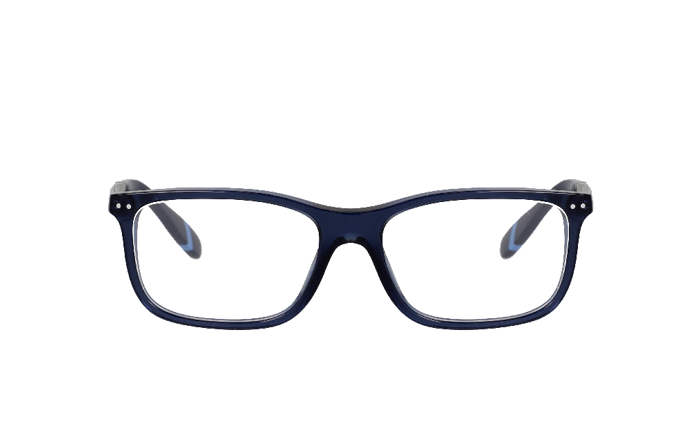 Polo Ralph Lauren PH2273 Bleu