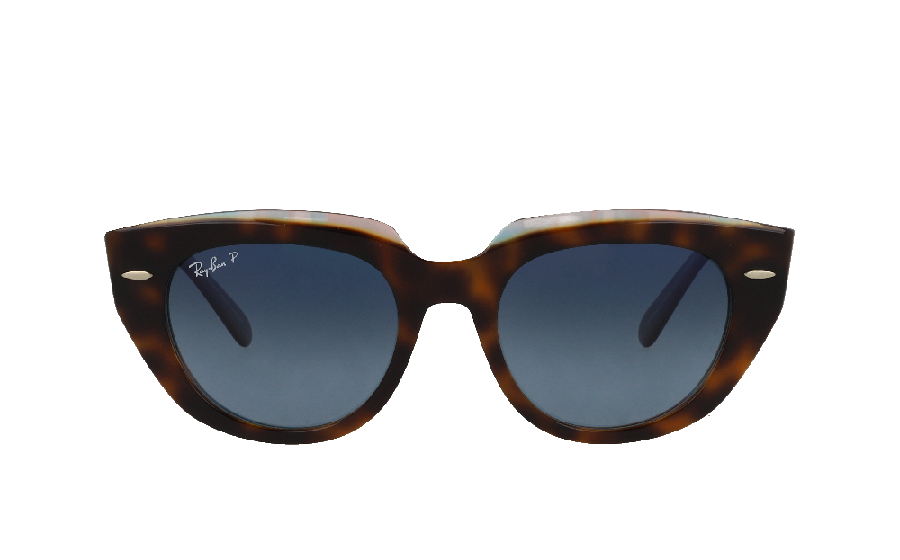 DREW S. SOLAIRE DSF2538 Écaille