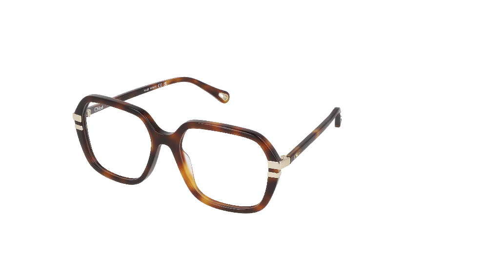 Chloé CH0205O Écaille