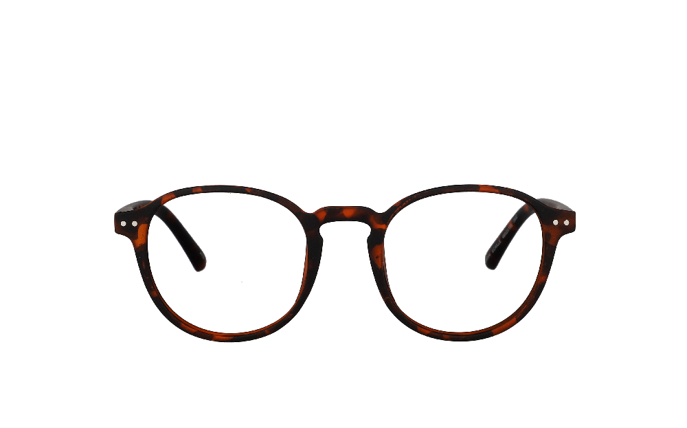 Kumquat KJ2204 Écaille