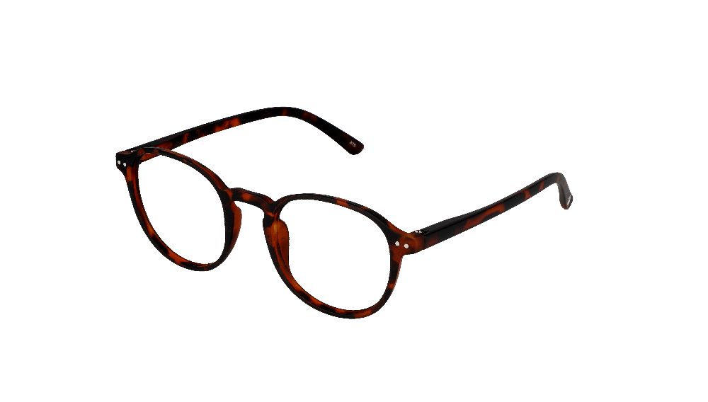 Kumquat KJ2204 Écaille